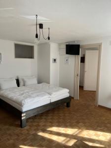 1 dormitorio con 1 cama y TV en Albergo Diffuso Porrentruy en Porrentruy