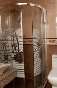 a bathroom with a shower and a toilet at Jermuk Ararat Health SPA in Jermuk