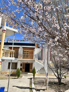 una casa con un árbol floreciente delante de ella en Zambala guest house, en Leh