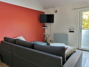 ein Wohnzimmer mit einer grauen Couch an einer roten Wand in der Unterkunft Les lits de l'Arz in Malansac