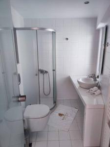 a bathroom with a shower and a toilet and a sink at Gazi pool house in Athens