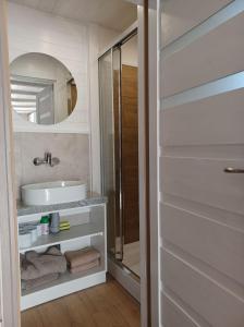a bathroom with a sink and a mirror at Domki skowronki in Filipów