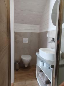 a bathroom with a sink and a toilet at Domki skowronki in Filipów