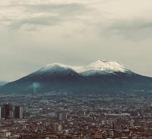 - une vue sur une ville avec une montagne enneigée dans l'établissement B&B Pacifico, à Naples