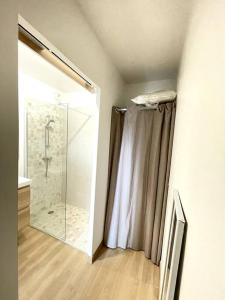 La salle de bains est pourvue d'une douche et d'une porte en verre. dans l'établissement Spacieux T2 + Parking à 5 min d'Aix, à Aix-en-Provence