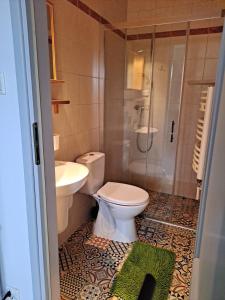 a bathroom with a toilet and a shower and a sink at Apartament Pokoje U Franka in Jastarnia