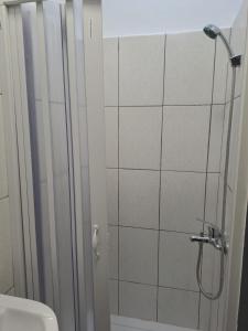 a bathroom with a shower and a toilet at Nights bucharest apartment oldtown in Bucharest