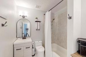 a bathroom with a toilet and a sink and a mirror at Dog-friendly home with fenced yard, patio, grill, & park across the street in Saint Augustine +12 photos
