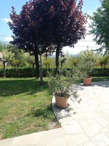 einen Park mit zwei Topfpflanzen und einem Straßenlicht in der Unterkunft Villa Laura in Incisa Scapaccino