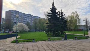 un parc avec deux bancs et un pin dans l'établissement Jaukūs namai-Home Sweet Home, à Klaipėda