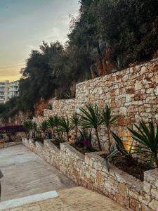 a stone retaining wall with a bunch of plants at Hotel Platon in Sarandë