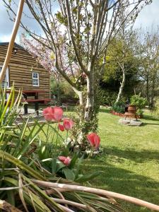 a garden with red flowers and a tree and a bench at Robins Rest in Donegal