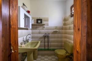 a bathroom with a green toilet and a sink at Guest House Sklithro in Sklíthron
