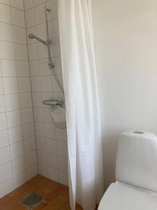 a white shower curtain in a bathroom with a toilet at Förtjusande gästsvit med öppen spis in Höör