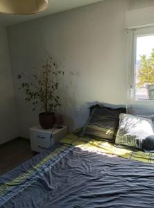 Fotografia z galérie ubytovania Appartement T2 très lumineux + PKG v destinácii Toulouse