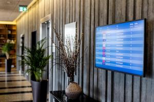 Μια τηλεόραση ή/και κέντρο ψυχαγωγίας στο Aalborg Airport Hotel