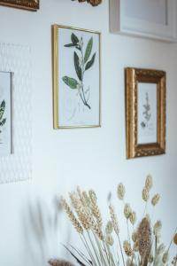 Billede fra billedgalleriet på Country house Oberfeld i Vipava + 26 billeder