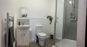 uma casa de banho com um WC, um lavatório e um chuveiro em Modern Barn Conversion em Brackley