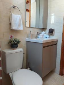 a bathroom with a white toilet and a sink at Paros Reppas House "Livadia" in Parikia +22 photos
