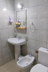 a bathroom with a sink and a toilet and a mirror at Apartamentos Matices in El Calafate