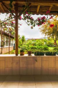 una vista desde el porche de una casa con macetas en Oase Garden Hotel, en Cıralı