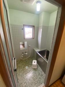 uma pequena casa de banho com um lavatório e um chuveiro em Elan Hotel Lake Nojiri em Shinano