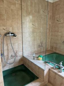 een badkamer met een douche en een groen bad bij Gazonfier in Le Mans