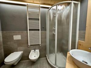 La salle de bains est pourvue d'une douche, de toilettes et d'un lavabo. dans l'établissement Al Bait Del Legn 2, à Bormio