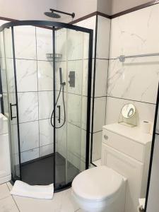 a bathroom with a toilet and a glass shower at Lovely Studio close to Brighton Station in Brighton & Hove