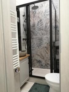 a bathroom with a shower with a toilet and a sink at Hanna apartman in Szeged