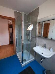 a bathroom with a glass shower and a sink at Ferienwohnung mit Dachterrasse in Achberg