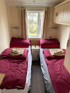 two beds in a small room with a window at Labernum Lodge - Springhouse Country Park in Slaley