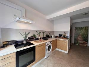 una cucina con lavatrice, lavandino e lavastoviglie di Agroturystyka Porbady a Porbady