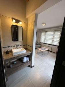 La salle de bains est pourvue d'un lavabo et d'un miroir. dans l'établissement Edificio Nogal, à San Martín de los Andes