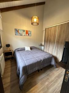 a bedroom with a bed and a television in it at Edificio Nogal in San Martín de los Andes