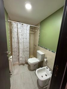a bathroom with a white toilet and a sink at Edificio Nogal in San Martín de los Andes