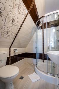 a bathroom with a shower and a toilet and a sink at Budzowy Dworek in Murzasichle +90 photos