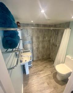 a bathroom with a toilet and a sink and a shower at Y Villa Môr in Llanarth