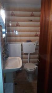 a small bathroom with a toilet and a sink at Melissomandri - traditional house at Kompoti 