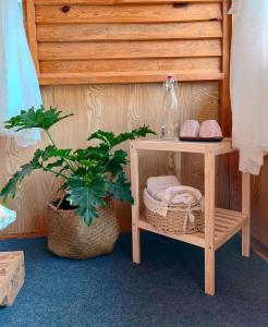 a wooden shelf with a plant and a bottle on it at Nguyên căn - Góc sân và Khoảng trời Dalat Homestay in Ấp Phước Thánh