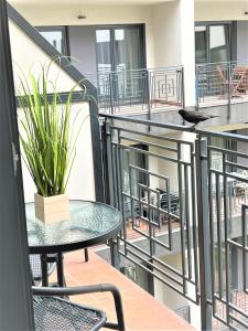 Balkón alebo terasa v ubytovaní Luxe CENTRAL Studio with POOL, PARKING & AC