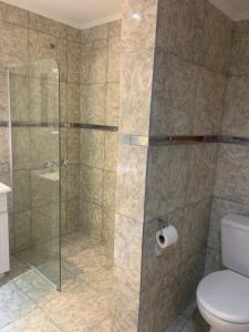 La salle de bains est pourvue d'une douche et de toilettes. dans l'établissement Departamento Balcarce, à Cipolletti