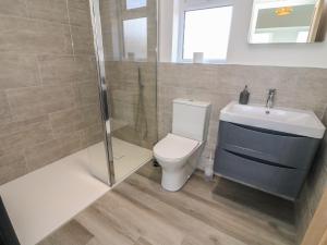 a bathroom with a toilet and a shower and a sink at Fron Y Felin in Carnforth +17 photos