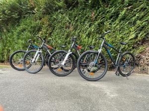 Jízda na kole v ubytování Le Chic à Barbizon nebo okolí