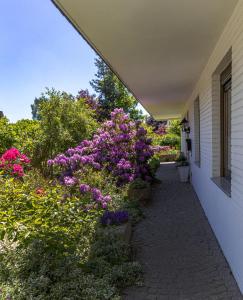 Zahrada ubytování Ferienwohnung Walther