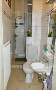 a bathroom with a toilet and a sink and a shower at Private Rooms in Hannover