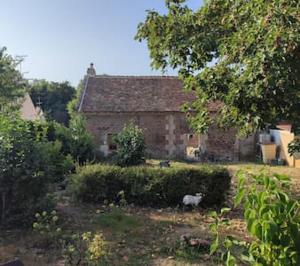 a cat is standing in front of a house at Studio du Mont des Ormes in Monchy-Humières