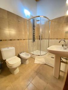 La salle de bains est pourvue de toilettes, d'une douche et d'un lavabo. dans l'établissement HOTEL MIRAMAR, à Miramar