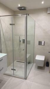 a bathroom with a shower and a toilet at Traumkoje im Herzen Westerlands strandnah Meer in Westerland (Sylt)