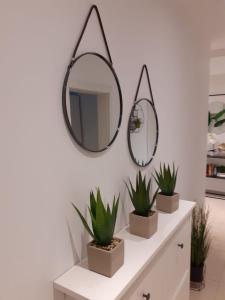 a room with three mirrors and plants on a dresser at NEW - Apartment Kameni Confort Wifi Munich Airport Family in Neufahrn bei Freising
